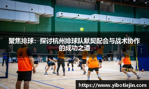 聚焦排球：探讨杭州排球队默契配合与战术协作的成功之道