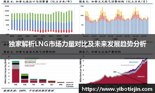 独家解析LNG市场力量对比及未来发展趋势分析