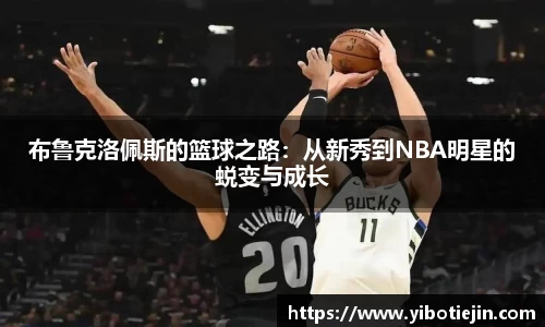 3377体育官网
