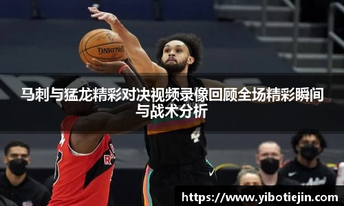 3377体育官网
